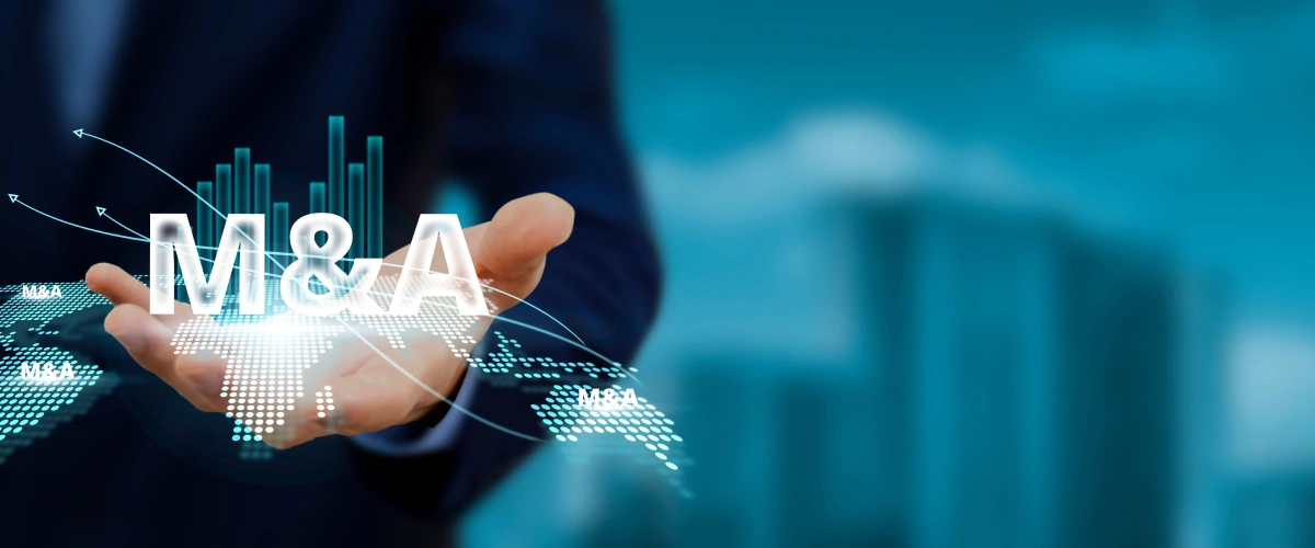 SAP M&A - Power Up Your Business