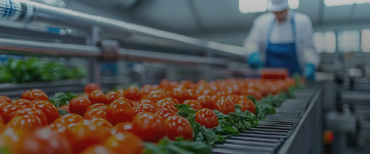 Automating Invoicing and Payment Workflows